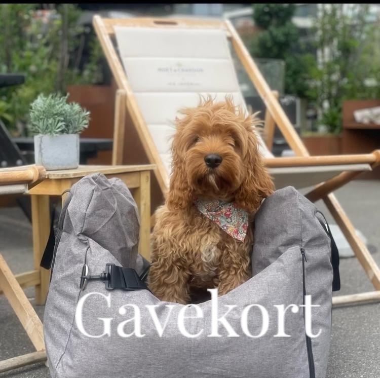 Gavekort